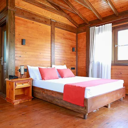 Hotel Enso *